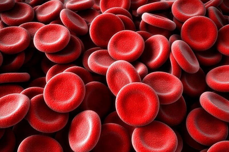 Functions of red blood cells